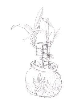 my new plant, in pencil