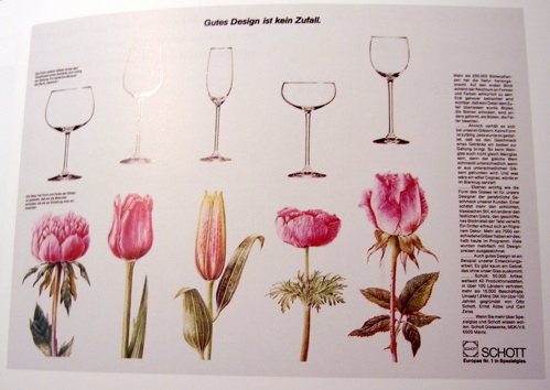 a comparison of flowers and glasses of similar shapes