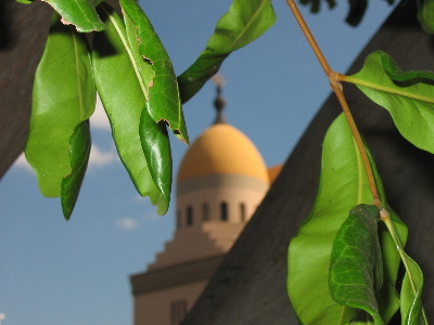 One dome of the Shrine Auditorium, partially hidden by leaves.