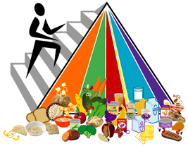 the lovely new food pyramid
