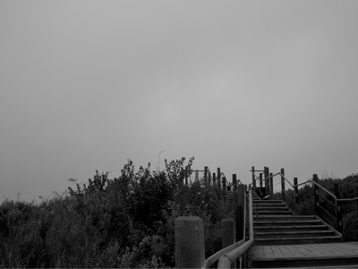 the stairs up from the beach