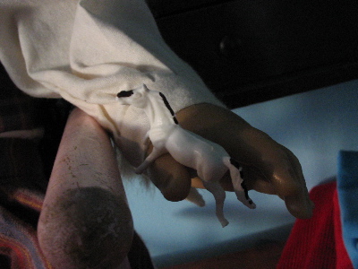 A small toy horse in the hand of an American Girl doll.