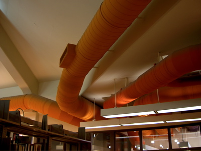 giant orange ducts