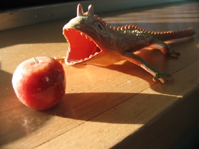 A plastic lizard about to bite a small stone apple.