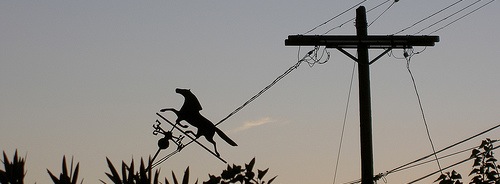 More utility poles in Los Angeles