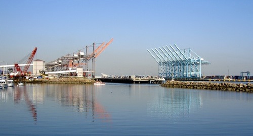 looking at red and blue cranes over the water