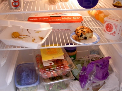 inside the fridge