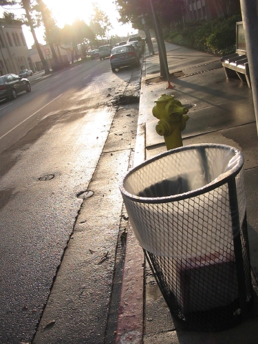 A view down the street, on my way to school in the morning.