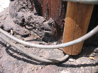 The base of a telephone post: tar, wire, dirt, wood.